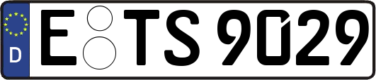 E-TS9029