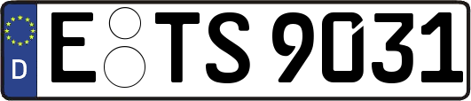 E-TS9031