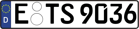 E-TS9036