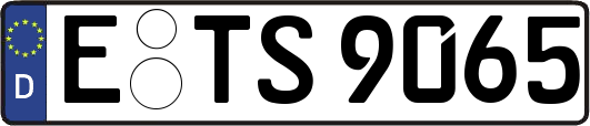 E-TS9065