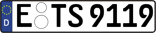 E-TS9119