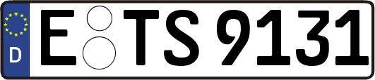 E-TS9131