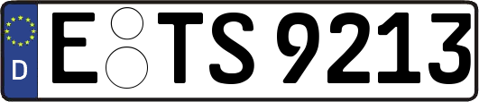 E-TS9213