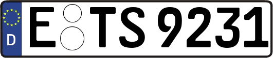 E-TS9231