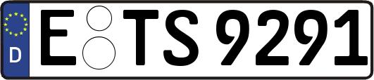 E-TS9291