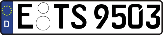 E-TS9503