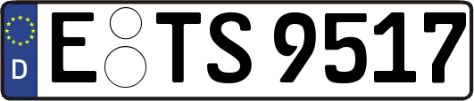 E-TS9517
