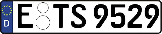 E-TS9529
