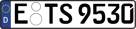 E-TS9530
