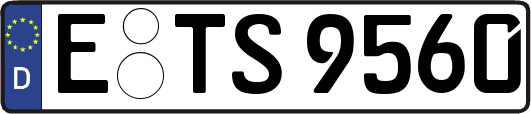 E-TS9560
