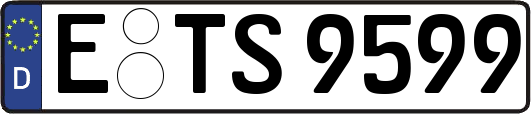 E-TS9599