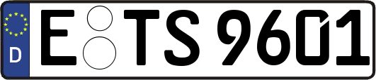 E-TS9601