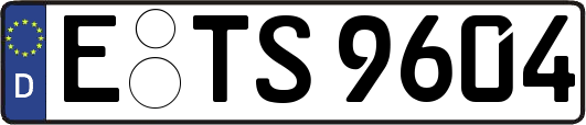 E-TS9604