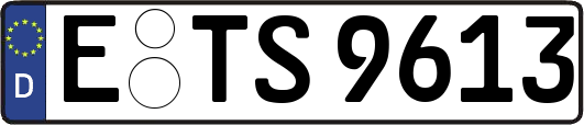 E-TS9613