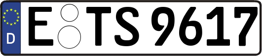 E-TS9617