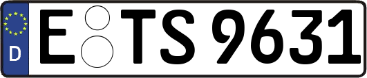 E-TS9631