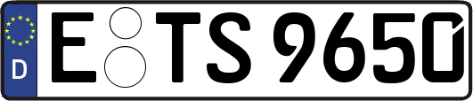 E-TS9650