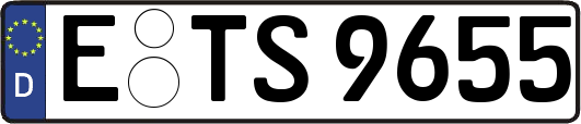 E-TS9655