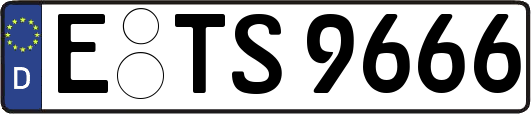 E-TS9666