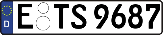 E-TS9687