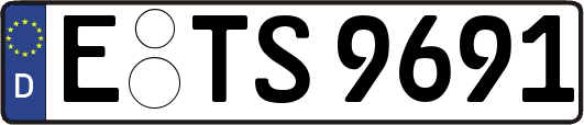 E-TS9691
