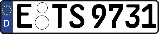 E-TS9731