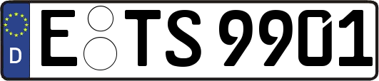 E-TS9901