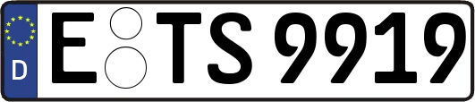 E-TS9919