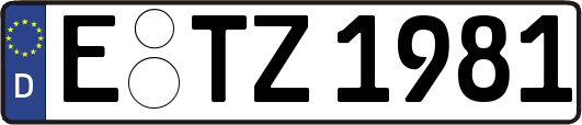 E-TZ1981