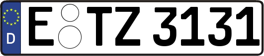 E-TZ3131