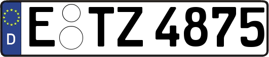 E-TZ4875