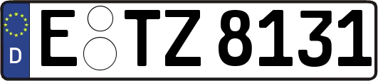 E-TZ8131