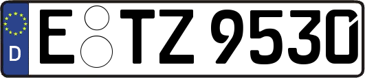 E-TZ9530