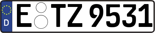E-TZ9531