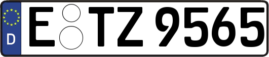 E-TZ9565