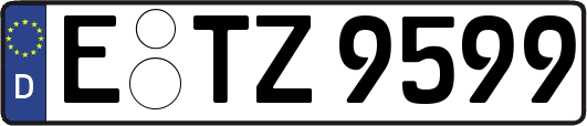 E-TZ9599