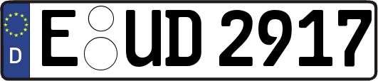 E-UD2917