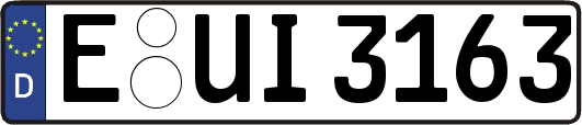 E-UI3163