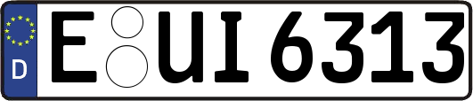 E-UI6313