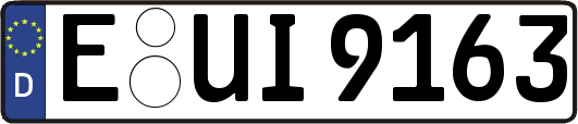 E-UI9163