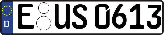 E-US0613