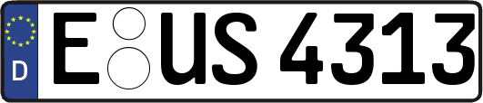 E-US4313