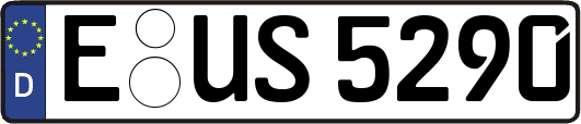 E-US5290