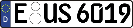 E-US6019