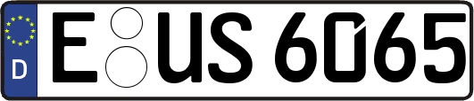 E-US6065