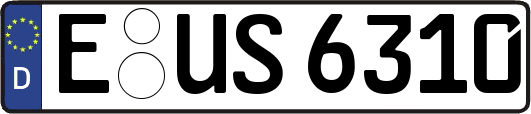 E-US6310