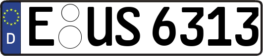 E-US6313