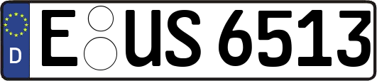 E-US6513