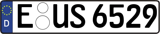 E-US6529