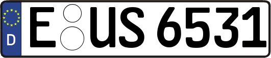 E-US6531